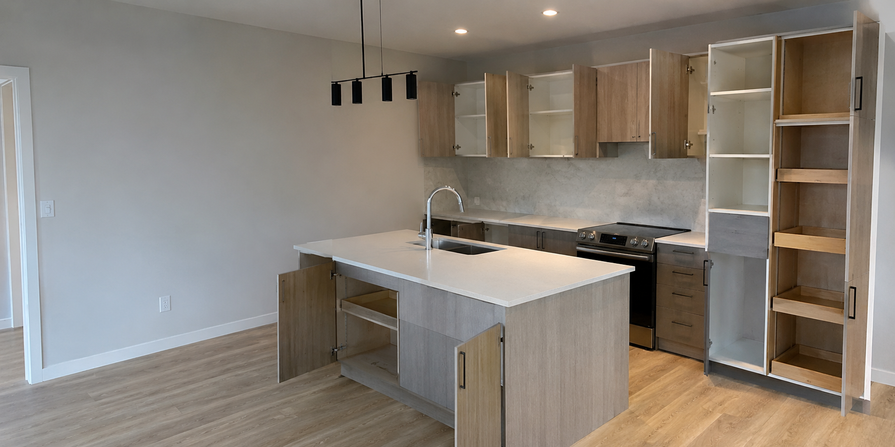 Modern kitchen cabinet system showing doors, carcasses and interior shelves